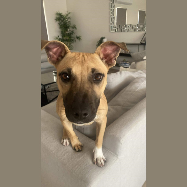 Photo of Phoebe