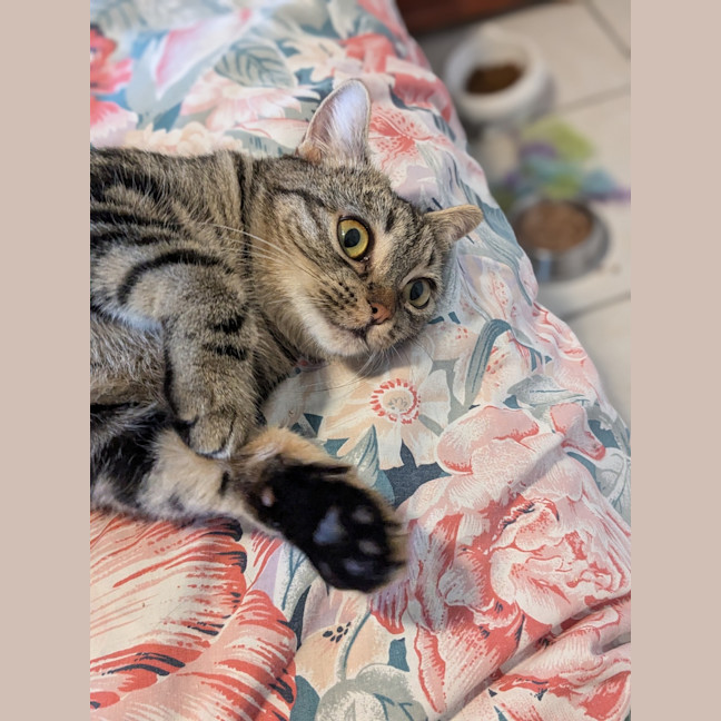Photo of Mabel