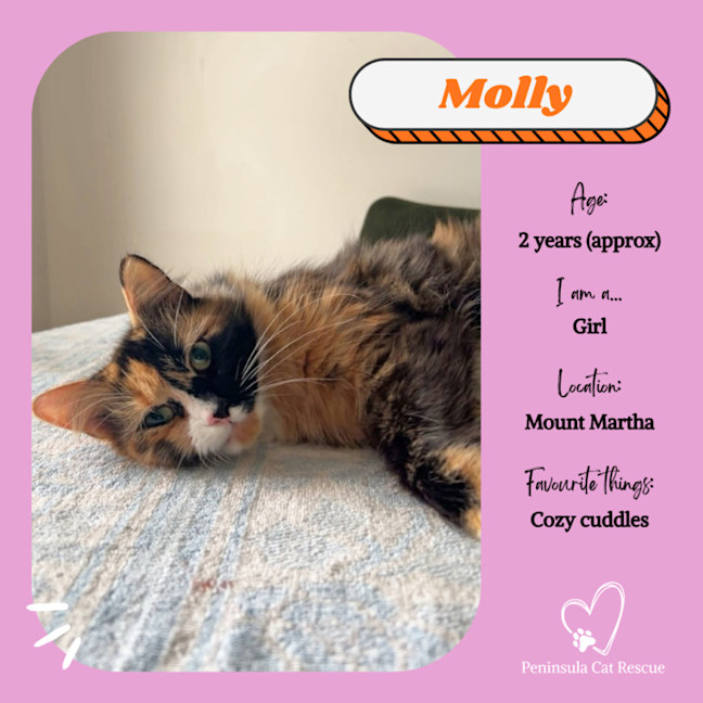 Photo of Molly