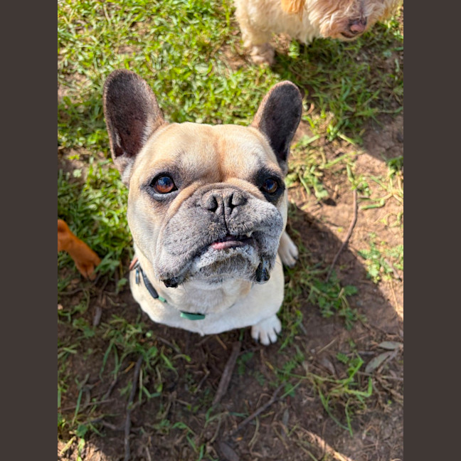 Photo of Gus