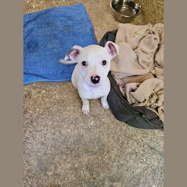 Photo of Lyla