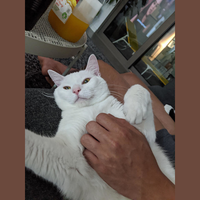 Photo of Kit
