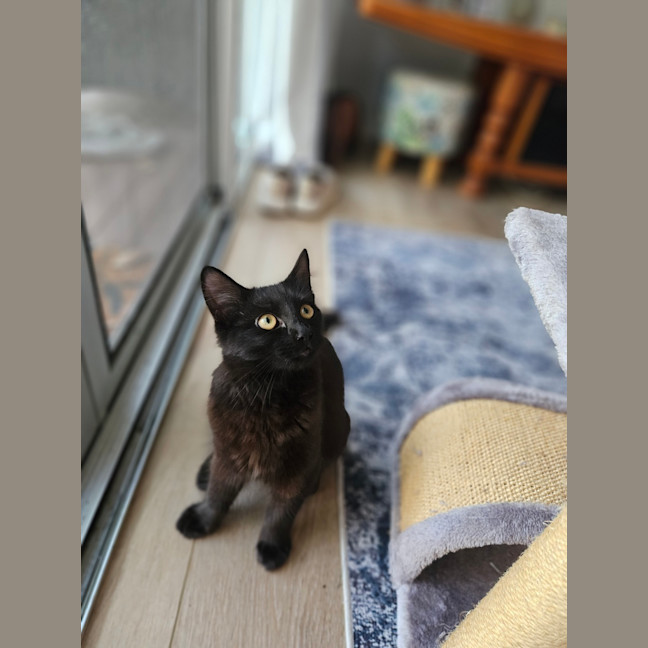 Photo of Cleo