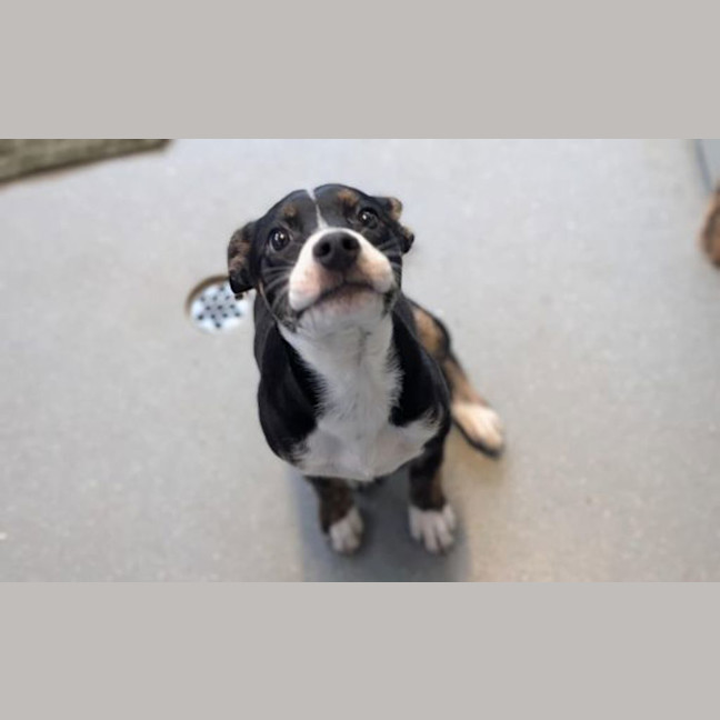 Photo of Darla