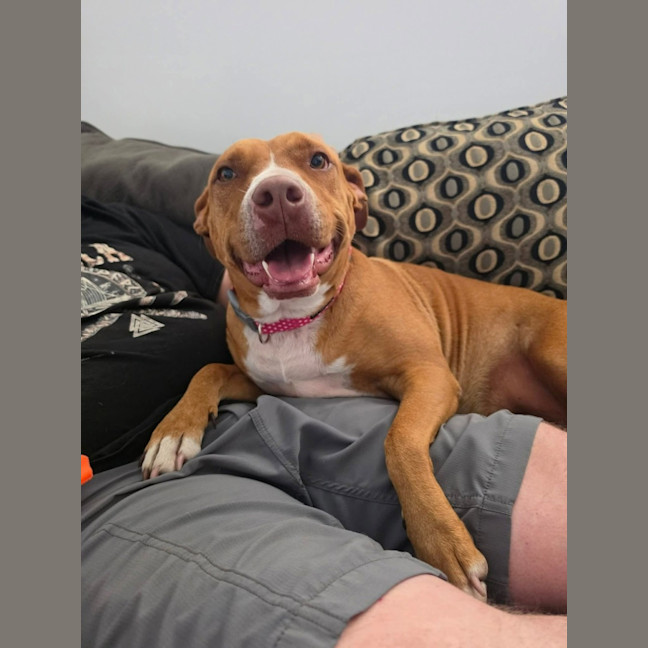 Photo of Meg