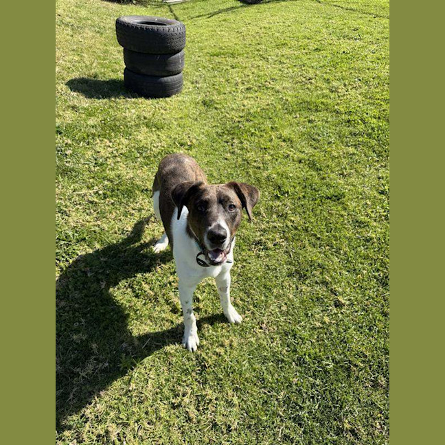 Photo of Atlas