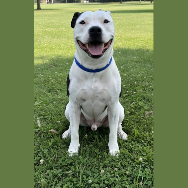 Photo of Dennis