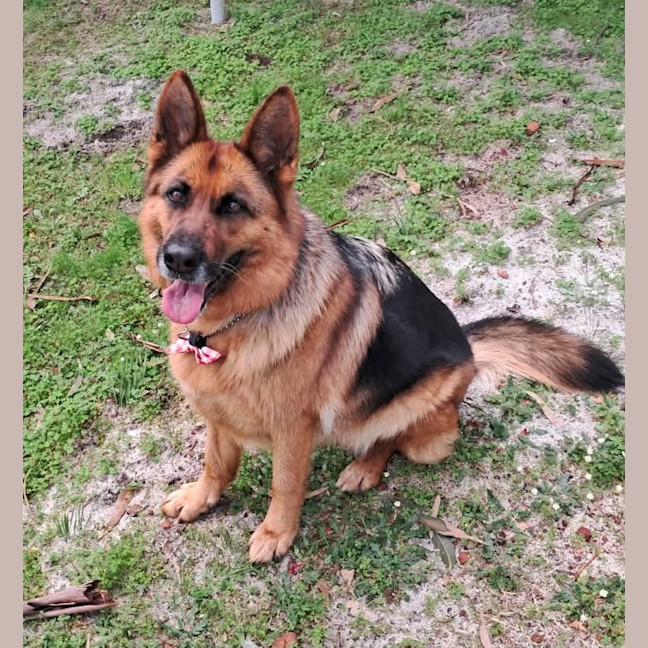 Photo of Ruby