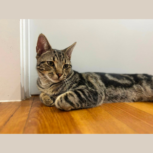 Photo of Tom
