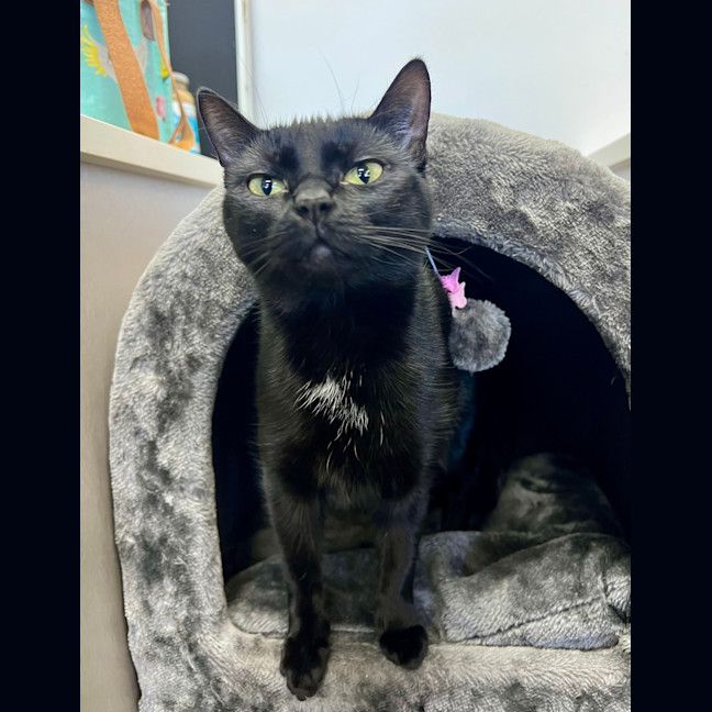 Photo of Betty