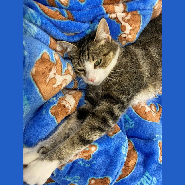 Photo of Willow 