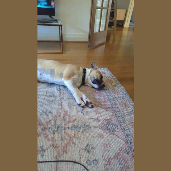 Photo of Rosemary Kumara