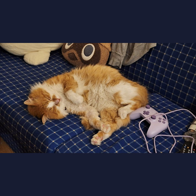 Photo of Rodger