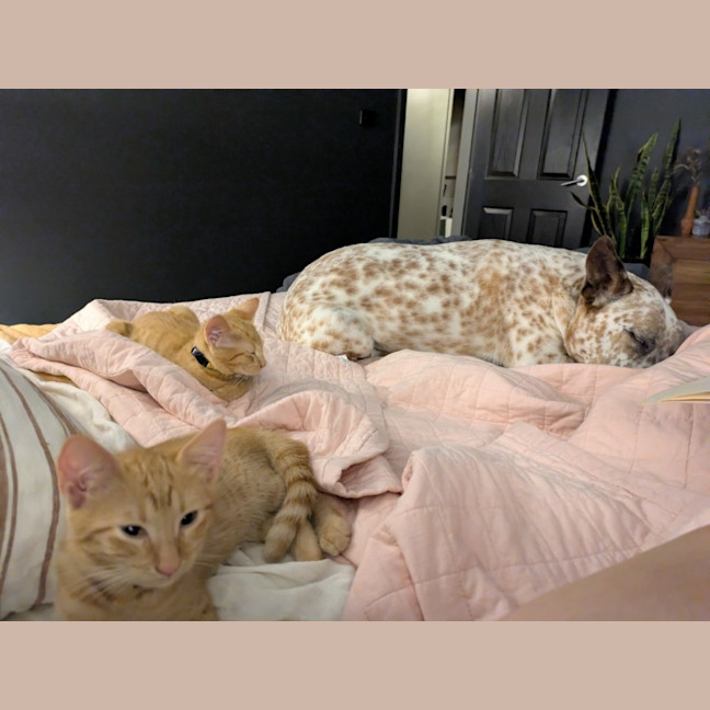 Photo of Fred & George (Aka Quentin & Quigley)