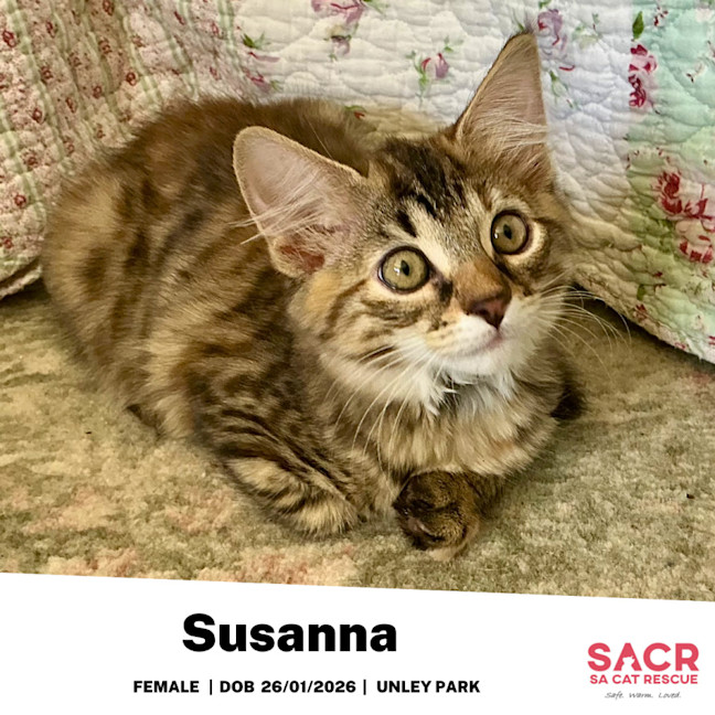 Photo of Susanna