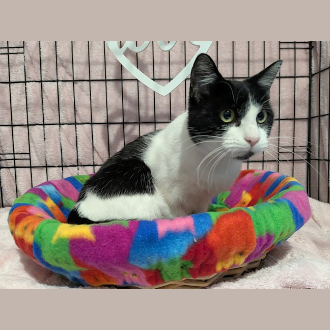 Photo of Mitzi