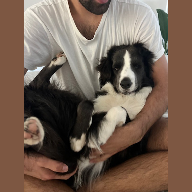 Photo of Zacian