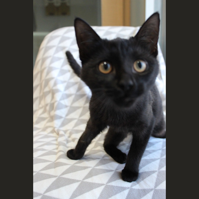 Photo of Dolce (Et Gabbana)