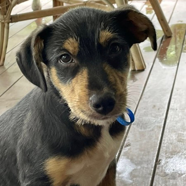 Photo of Freckle