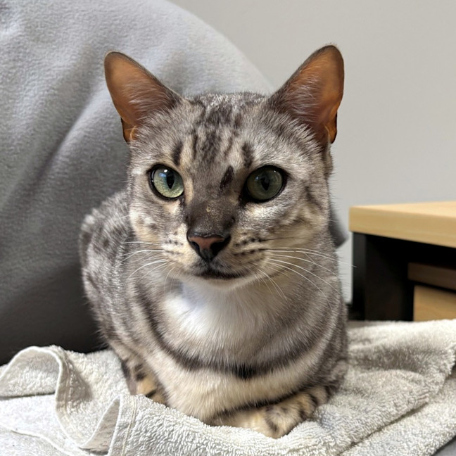 Photo of Jagerbomb Rsua013856