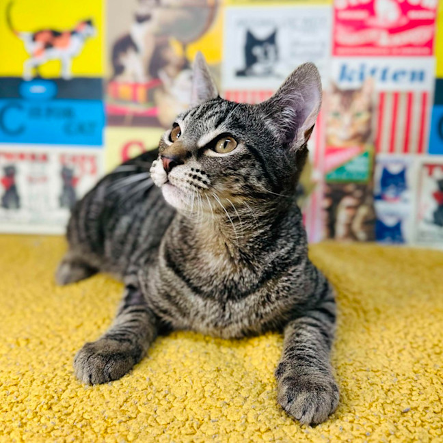 Photo of Lyle   Located In Preston 