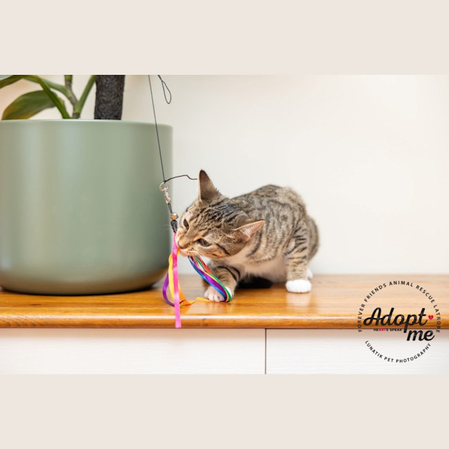 Photo of Eleanor 🌼