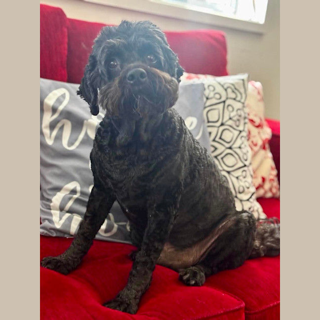 Photo of Bubbles 🫧 