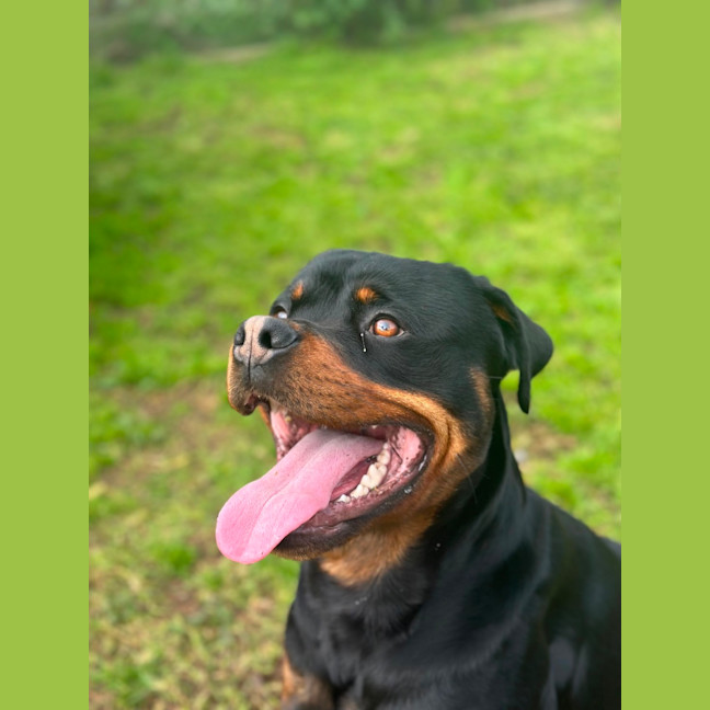 Photo of Max