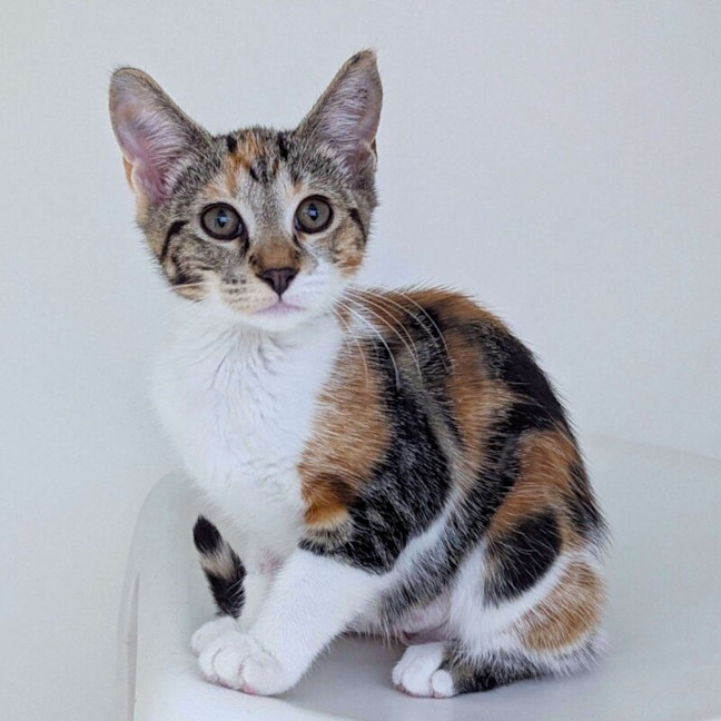Photo of Gizelle