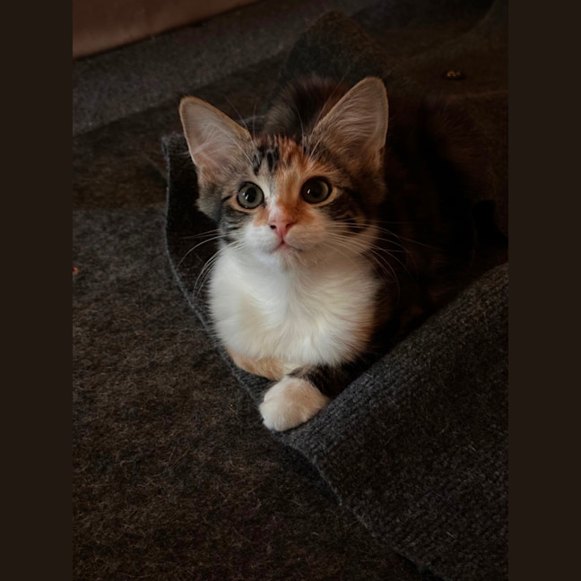 Photo of Astrid & Yogi