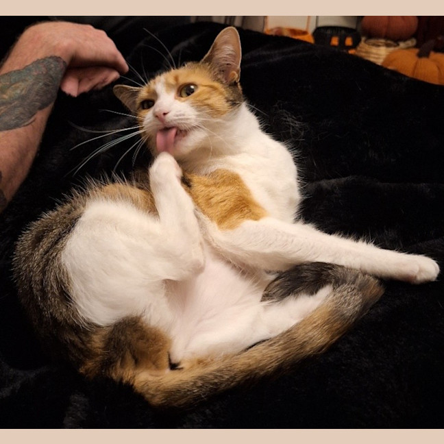 Photo of Samantha Sta014309