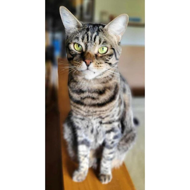 Photo of 2471   Minnie