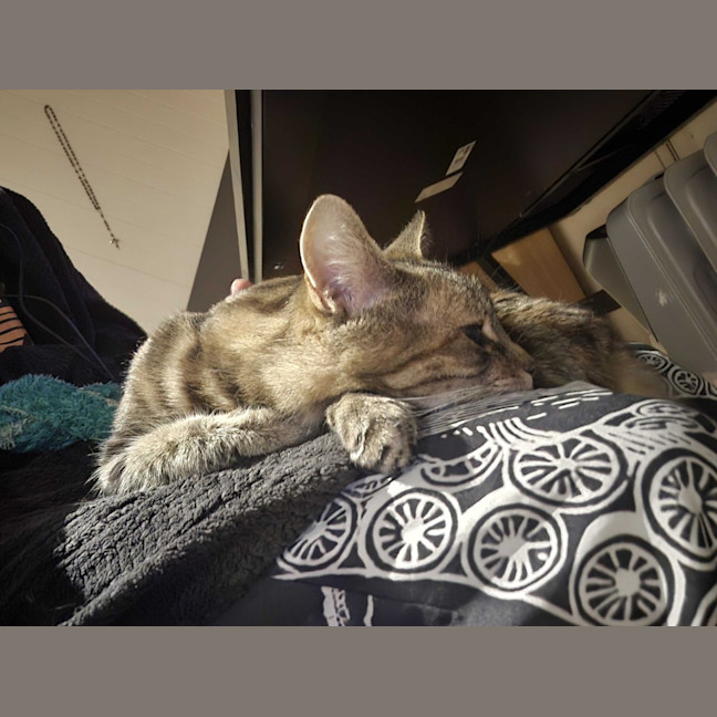 Photo of Princess Poppy