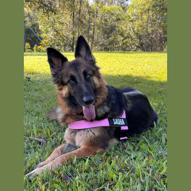 Photo of Sasha