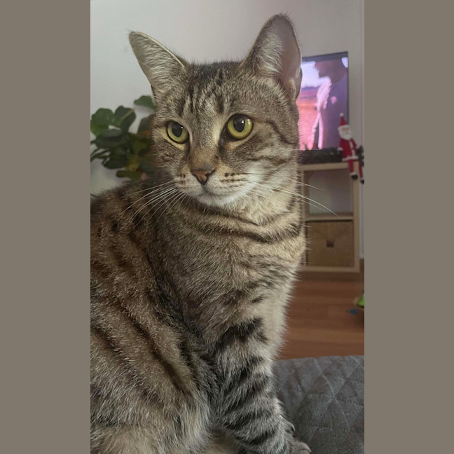 Photo of Kiki