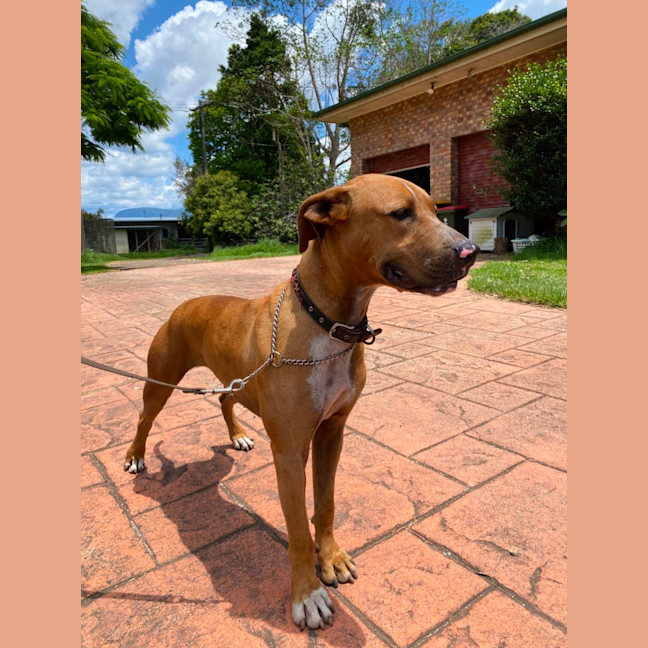 Photo of Princess Jay