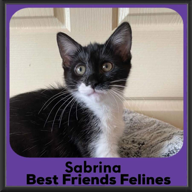 Photo of Sabrina 