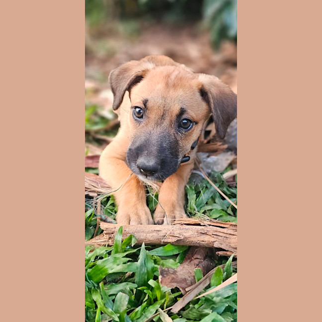 Photo of Uno