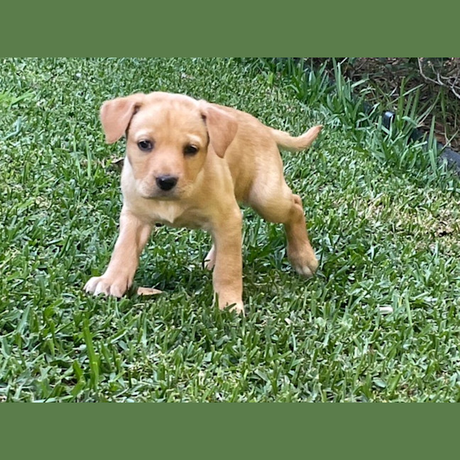 Photo of Milly