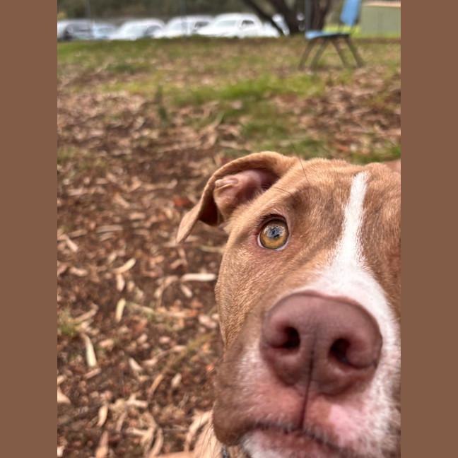 Photo of Clifford