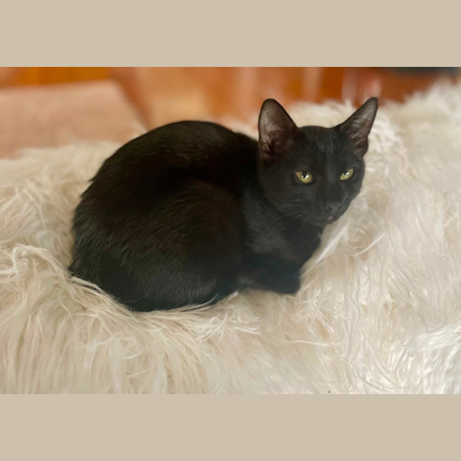 Photo of Trinity 