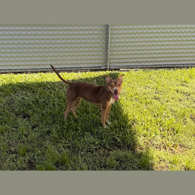 Photo of Coco