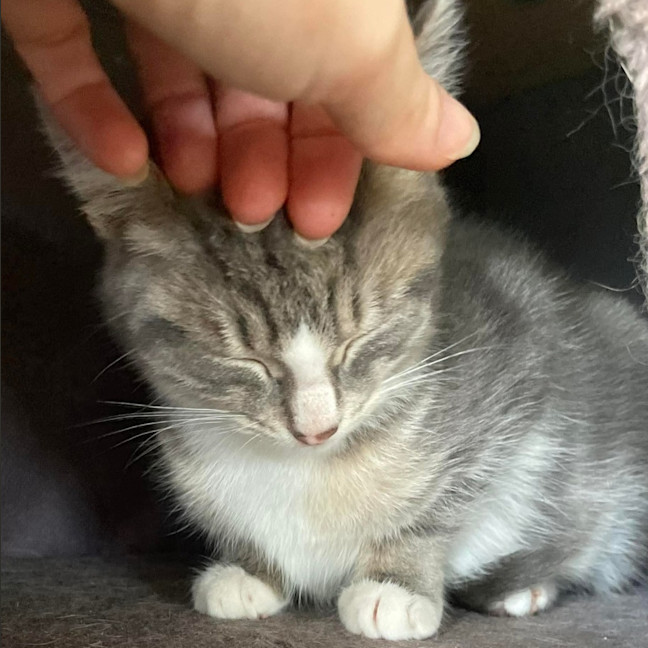 Photo of Matilda
