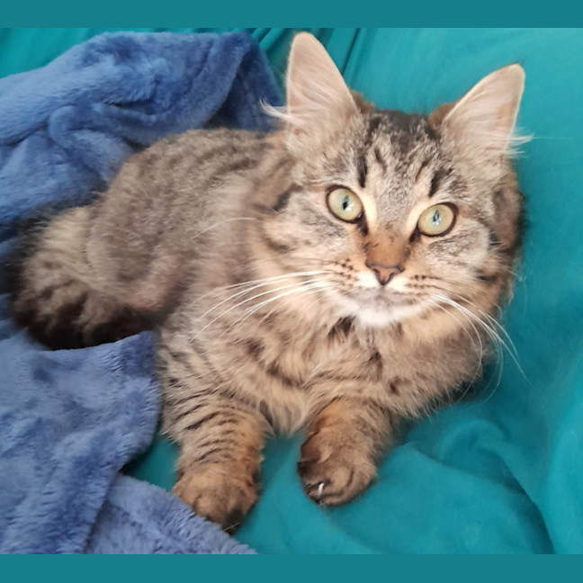 Photo of Etta