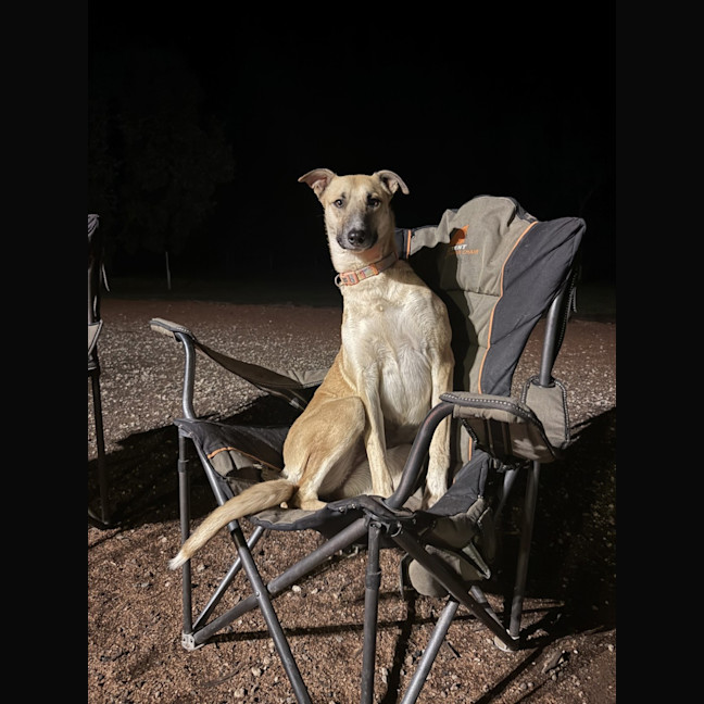 Photo of Xena