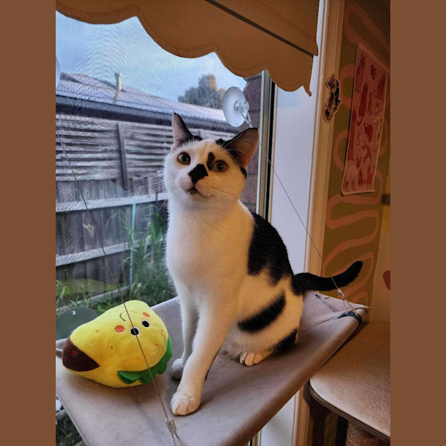 Photo of Charlie