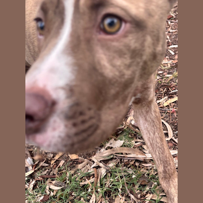 Photo of Clifford