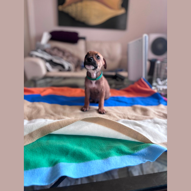 Photo of Charlie