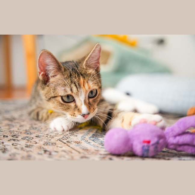 Photo of Elsie