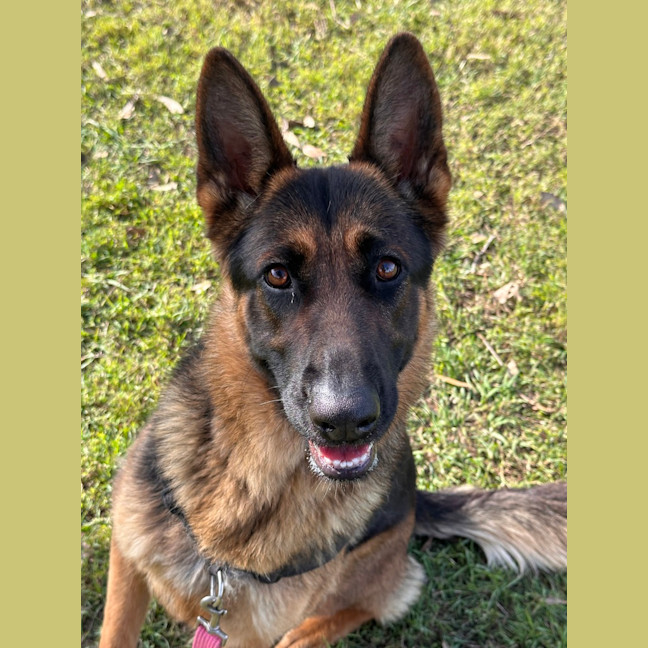 Photo of Freyja